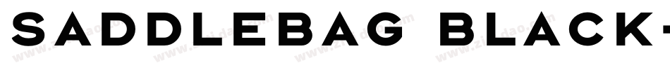 Saddlebag Black字体转换